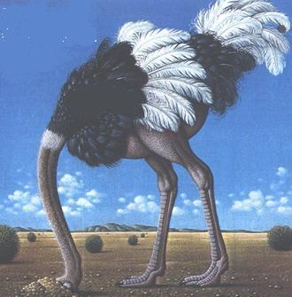 الإسبان ارتأوا أن يكونوا كالنعامة التي تدفن رأسها بالرمال