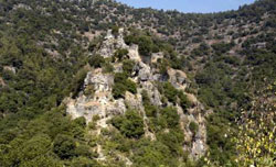 آثار القلعة المختفية في الأحراج