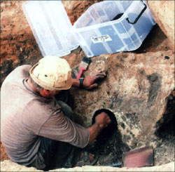 تنظيف أهراءات القمح من العصر البرونزي