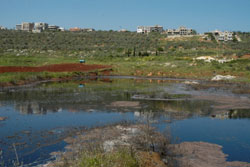 بؤرة المياه الآسنة شمال شرق بلدة كفركلا