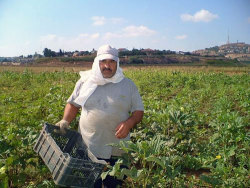 فضل الله جهجان من كفركلا