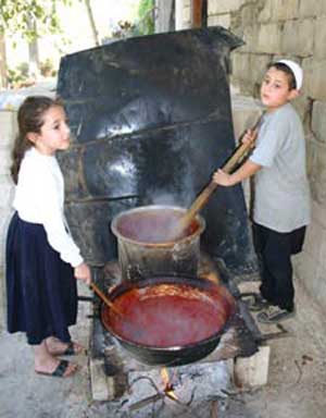 نصيحة الأجداد:(موّن لعيالك...لتشيل الهم عن بالك)