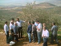 أطراف بلدة حلتا