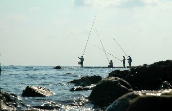 في مدينة صور يغزل البحر غيوماً يرسلها هدايا لسماء الخيام العاشقة