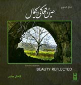 غلاف الكتاب