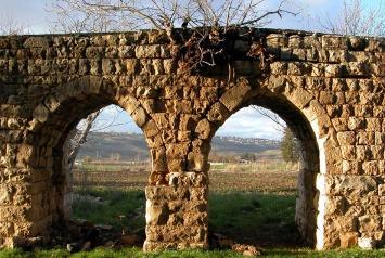 غريبة هذة البلدة.. نحبها ونصبح دم شرايينها