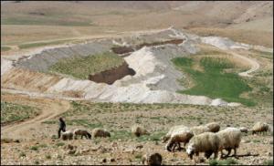 راعي يقود قطيعه امام سواتر ترابية اقيمت على الحدود قرب بلدة عرسال