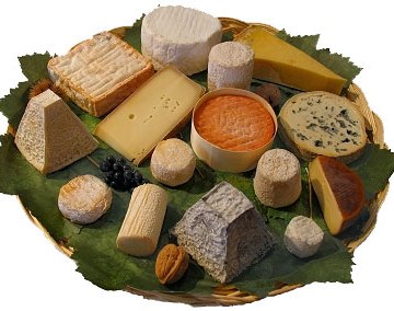 يتزايد عدد الاشخاص الذين يقدرون الفرق بين منتجات الألبان