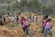 خلال حملة التشجير في قيتولي - قضاء جزين