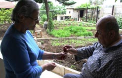 مسنّان يفاقسان البيض في عكار