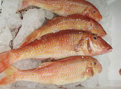  سمك السلطان إبراهيم.. حكاية مشوقة عمرها مئات السنين