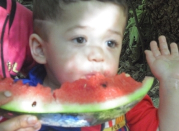 تذوّق عبدالله طيب فواكه الوزاني