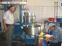 معصرة زيتون في برج الملوك