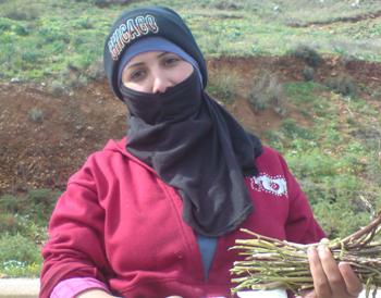 سيدة على طريق الخردلي.. تعرض الهليون الذي جنته من البرية