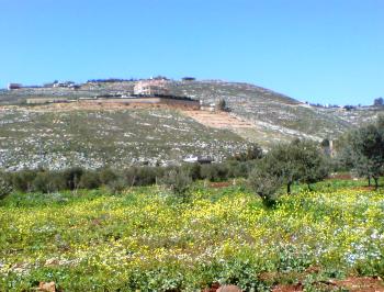 تلة وعرة حوّلها الكاتب إلى دارةً جميلة مطلة على جبل الشيخ وعلى أرض فلسطين