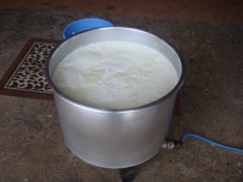 المراعي الطبيعية ترفع من نوعية الحليب