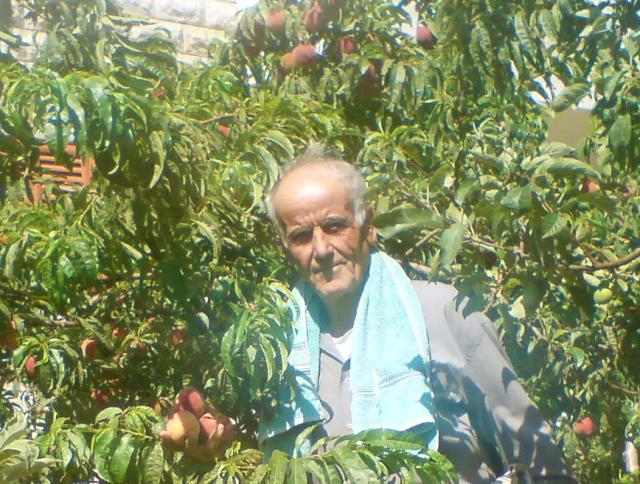 أبو حسين علي عبد الحسم مهدي مبتسماً لما تجود به أرضنا الطيّبة ...