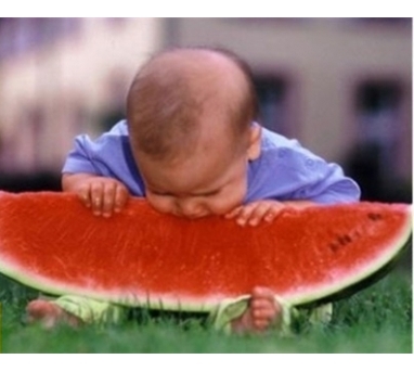 البطيخ الأحمر له عدة تسميات لكن مذاقه واحد..