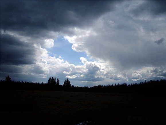 الزاهدون بالأرض يتنازعون السماء!..