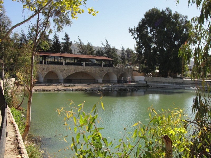 بركة  الدردارة