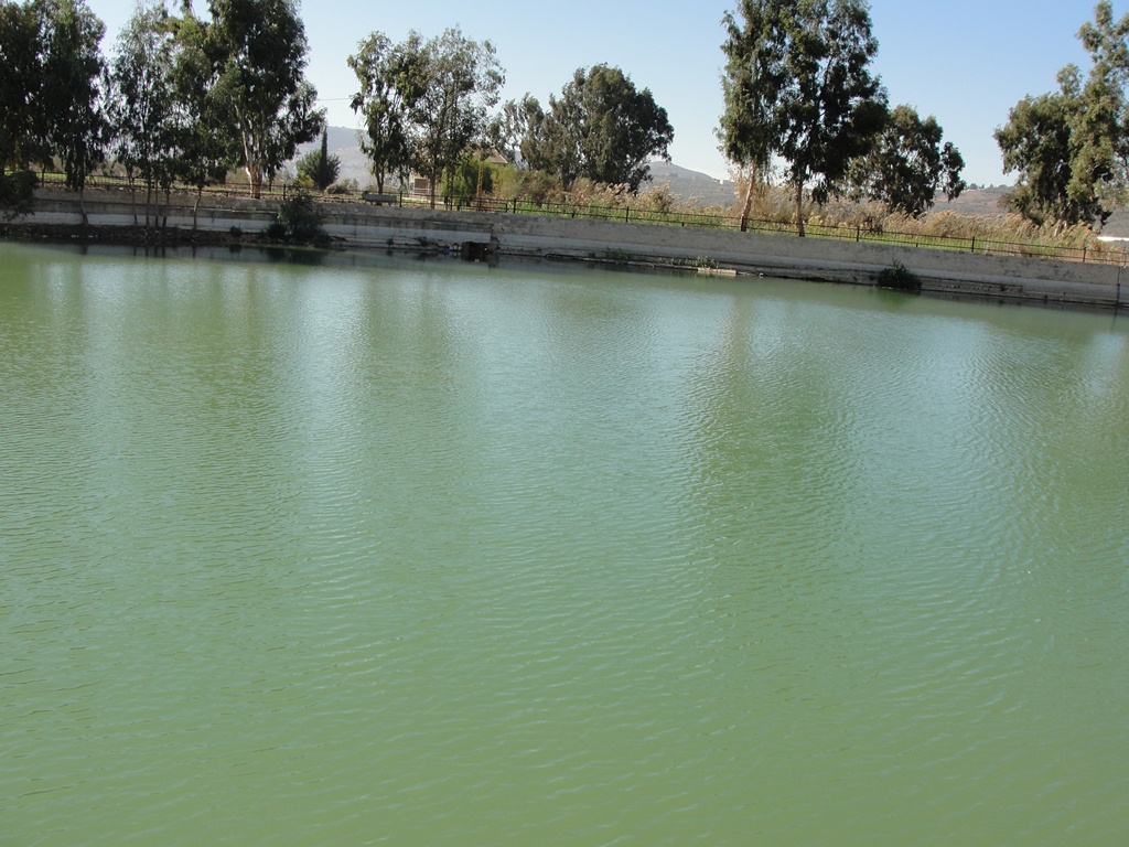 مياهنا ثروة كبيرة يجب الحفاظ والإهتمام بكل نقطة ماء منها.. وبالنقاط الثلاث التي وردت في شروحات الأستاذ جلال