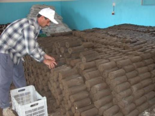 جفت  الزيتون وقود ينافس المازوت بسعره