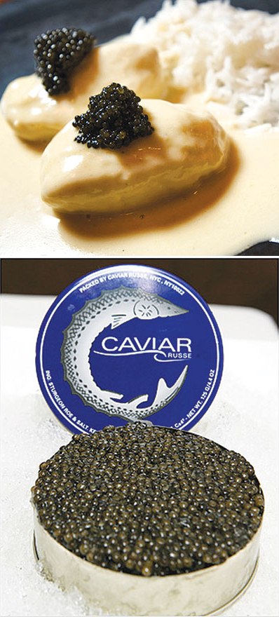 الكافيار.. تختلف أسعاره باختلاف أنواعه