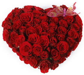 تنسيق أزهار ريما - الخيام