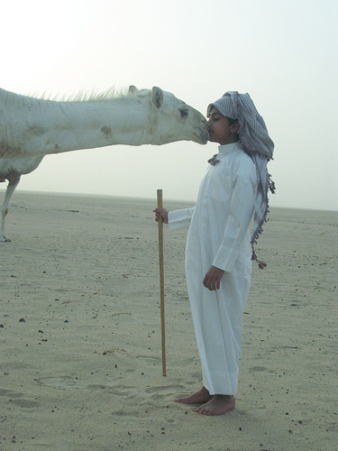 اذا كانت القبلة على الخشم :  بدو