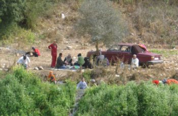 يقصدون الوادي لكونه المكان القريب الوحيد للاستجمام