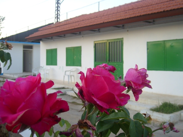 الجنًّة لاند