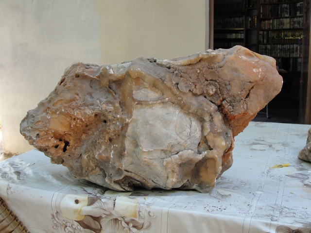 ضفدع أسطوري متحجر