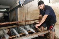 ملء القوالب بالمياه لصناعة الثلج