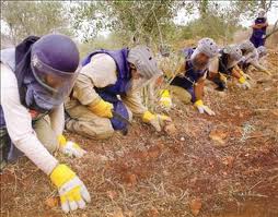 ماغ لنزع الألغام