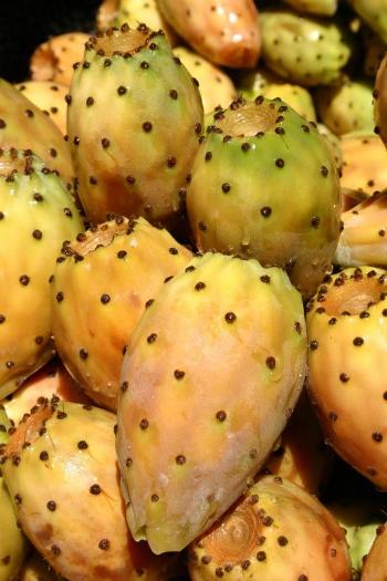 كانالصبّار، لعقود طويلة، يعد فاكهة الفقراء