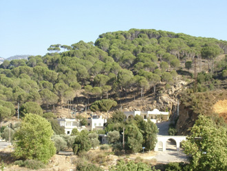 الفرديس ـ حاصبيا