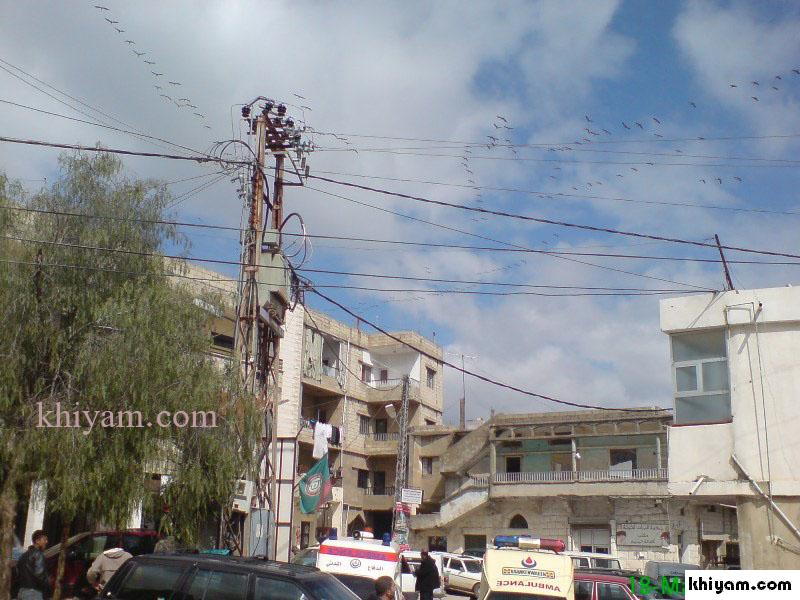 أسراب البجع في سماء الخيام تعود من هجرتها