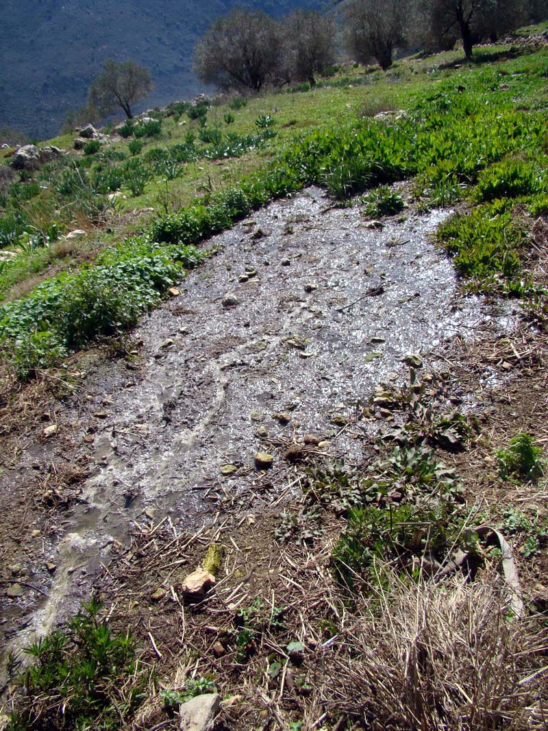 المياه الآسنة تطفو على سطح الأرض