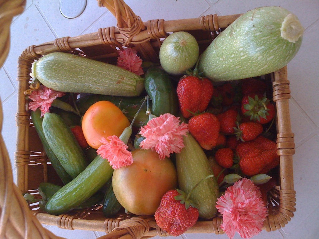 صورة لمنتوجات زراعية من حاكورة المرحوم عمي حسين ضاوي.. التي كان يهتم بها دائماً