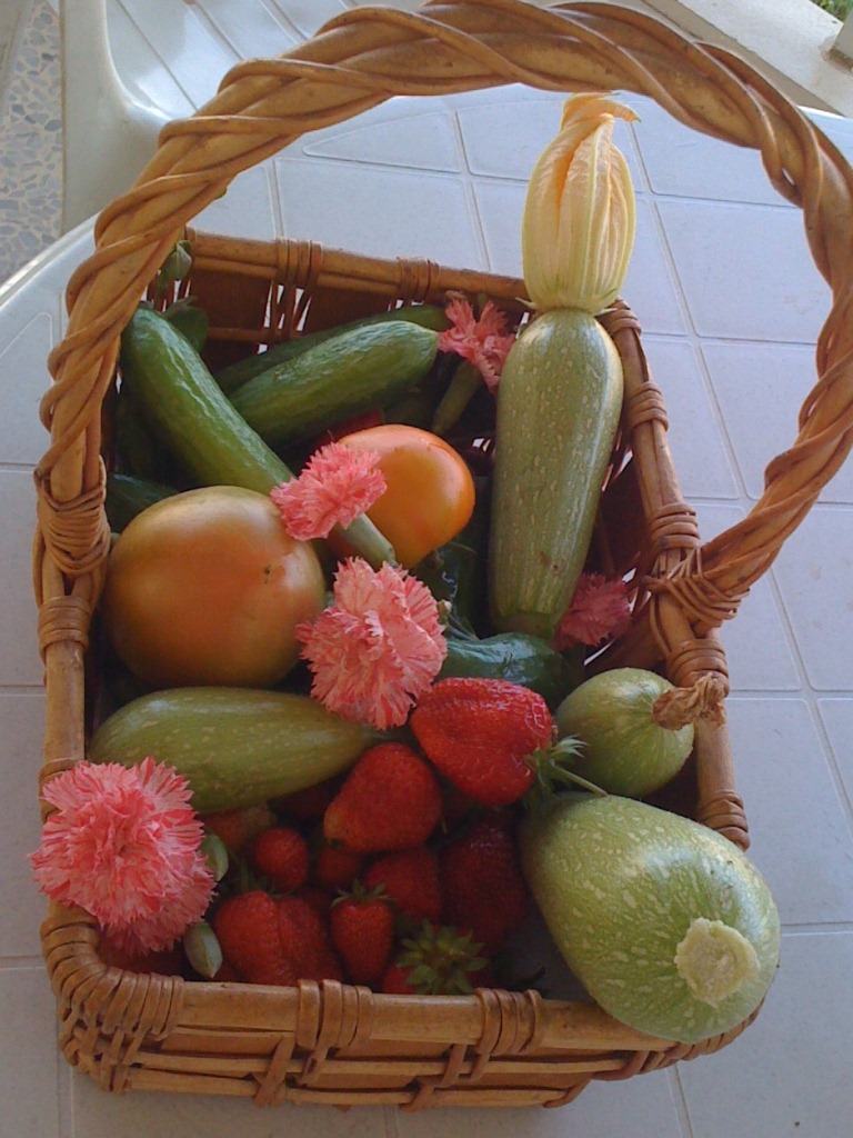 وأيضاً صورة لمنتوجات زراعية من حاكورة المرحوم عمي حسين ضاوي.. التي كان يهتم بها دائماً