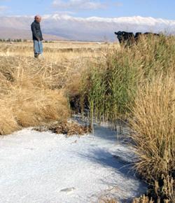 تواجه اللجنة مشكلة المعامل الحائزة تراخيص قانونية