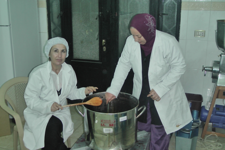 أنشطة أخرى لجمعية سيدات الخيام للتنمية