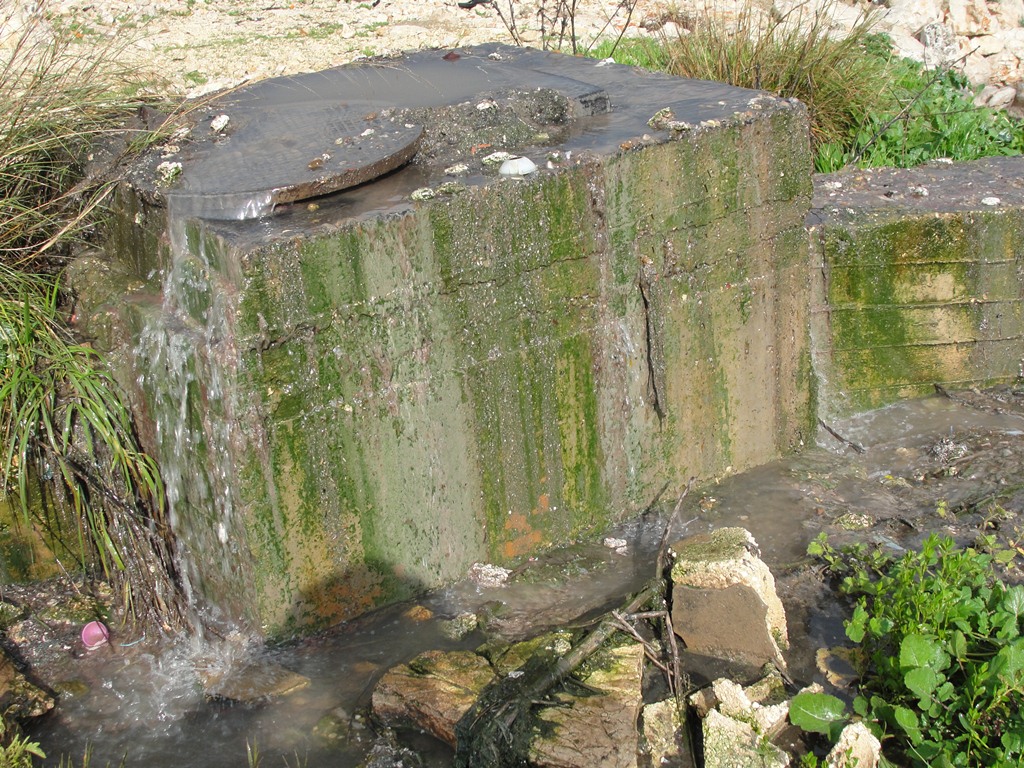 المياه الملوثة والآسنة للصرف الصحي تخرج من الريكار قبل أمتار قليلة من المعمل