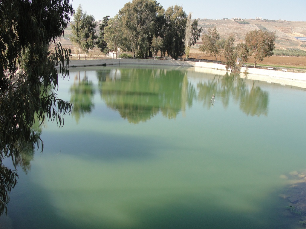  نبع الدردارة