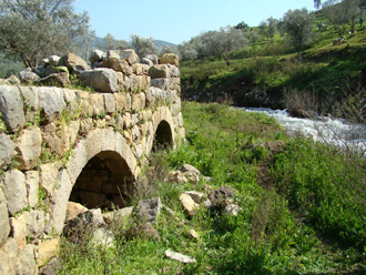 مياه نبع سريد تهدر في منطقة يصحّرها العطش