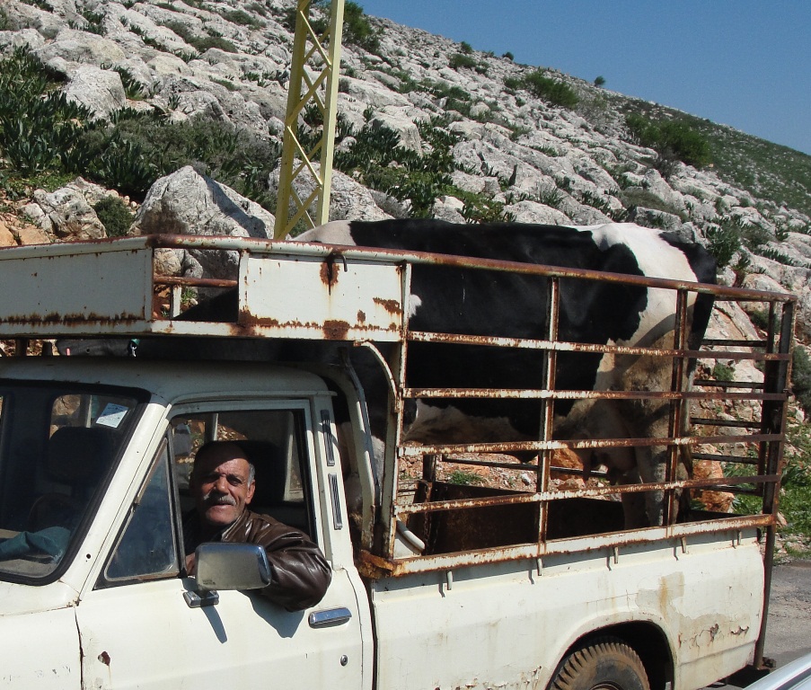 أبو علي  فايز عكر