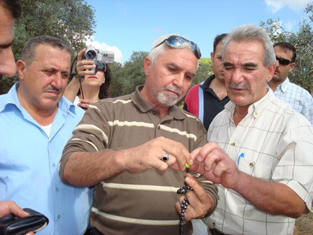 خبراء زراعيون يتفقدون إصابة حبات الزيتون بمرض عين الطاووس