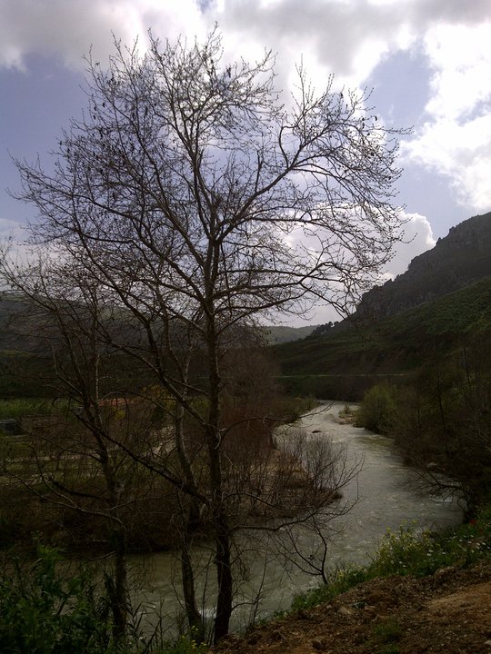 الصورة الفائزة لمحمد شيري عن ربيع الخيام