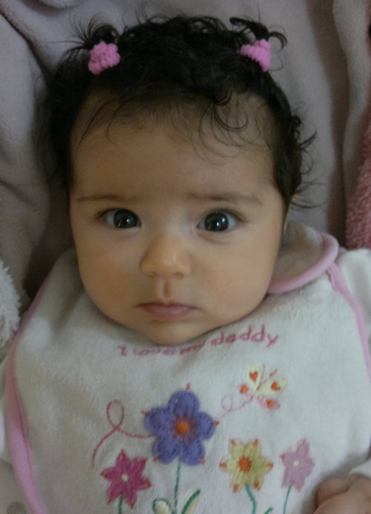 زهراء هشام حسن ديب