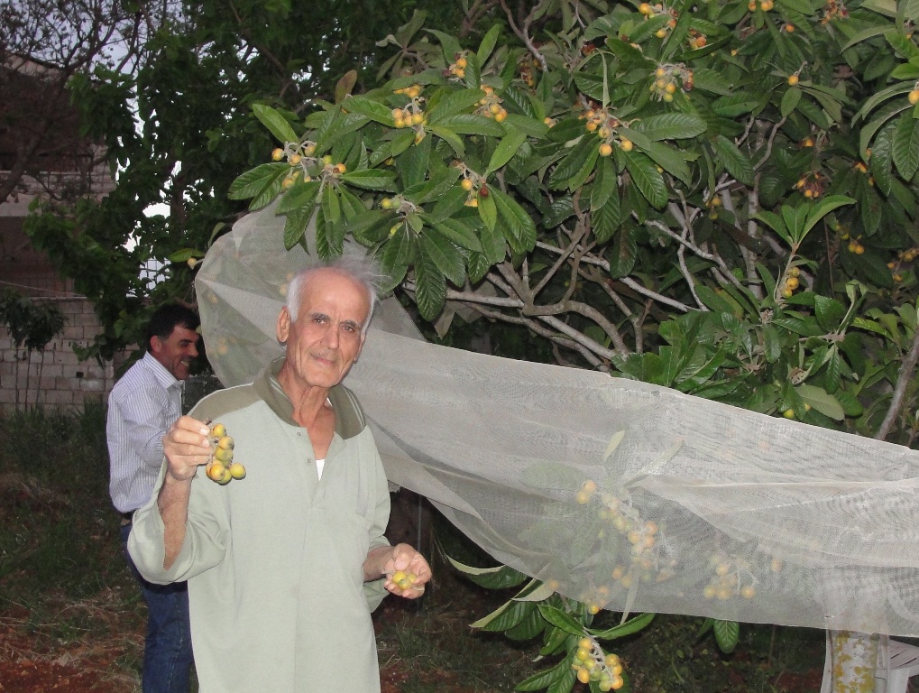 أبو حسين علي عبد الحسن مهدي